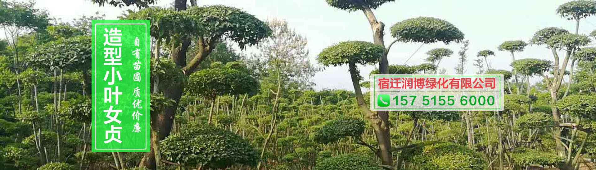 宿迁润博绿化有限公司
