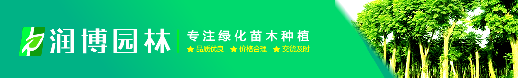 宿迁润博绿化有限公司