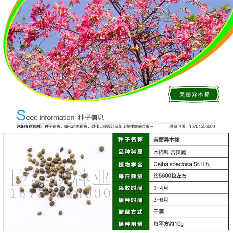 美丽异木棉种子基本信息